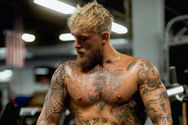 Jake Paul Ready for MMA Debut - ArabsMMA