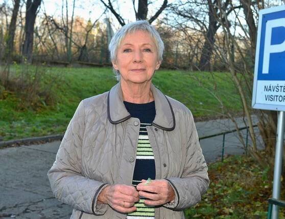 Dana Syslová: *11.11.1945, česká herečka