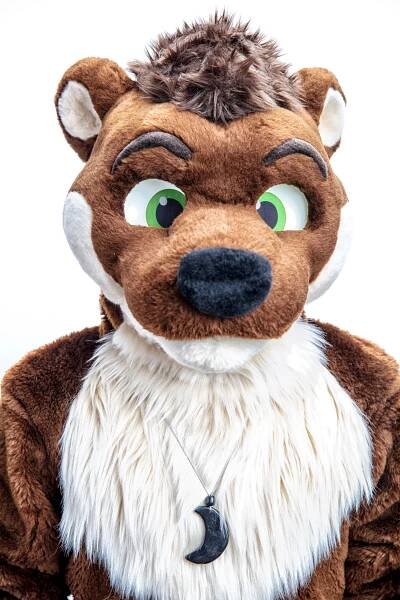 Fursuits – Sascha Rheker – Photographer