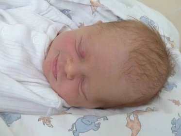 Anna Možná se narodila 2. června 2021 v kolínské porodnici, vážila 3255 g a měřila 48 cm. Do Prahy si ji odvezli sourozenci Veronika (15), Adam (12) a rodiče Petra a Milan.