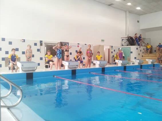 Plavecké závody - ZŠ Sportovní