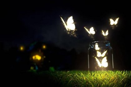 Night Butterfly In A Glass Jar Wallpaper