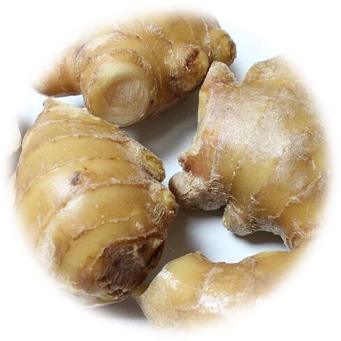 高知　生姜餃子