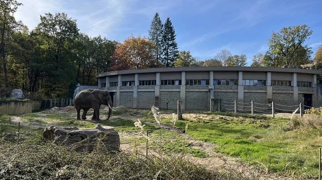 Podzimní ZOO - Základní škola a Mateřská škola Václavovice, příspěvková organizace