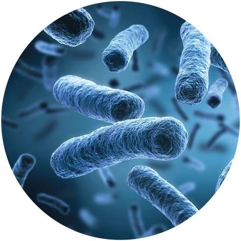 Laboratory Services | Jaytech Water Solutions