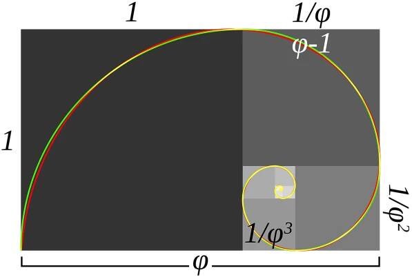 File:FakeRealLogSpiral.svg