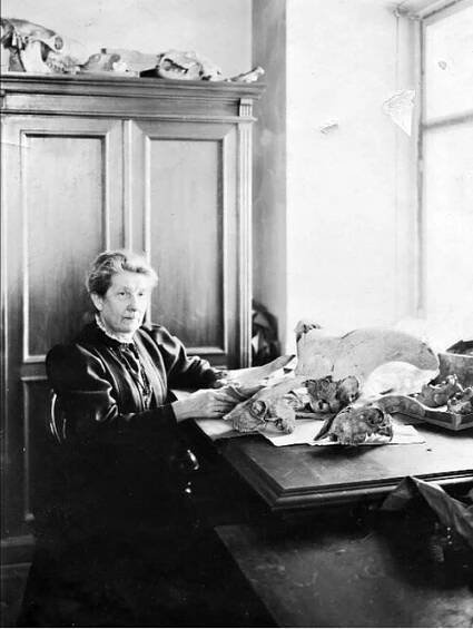 Maria Pavlova - Wikipedia