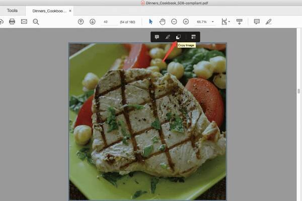 Adobe Reader Copy PDF Image