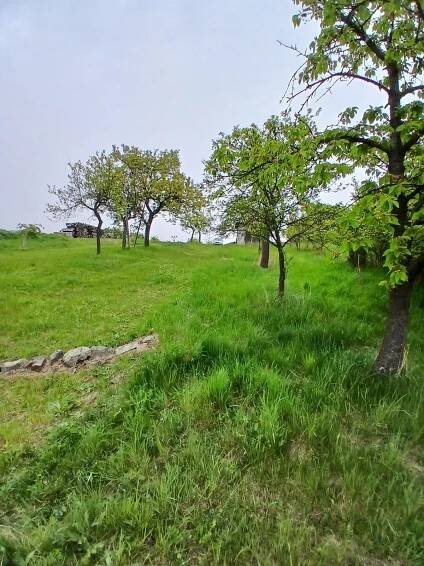 Prodej zahrady - Brno-venkov - Střelice - CP 690 m2