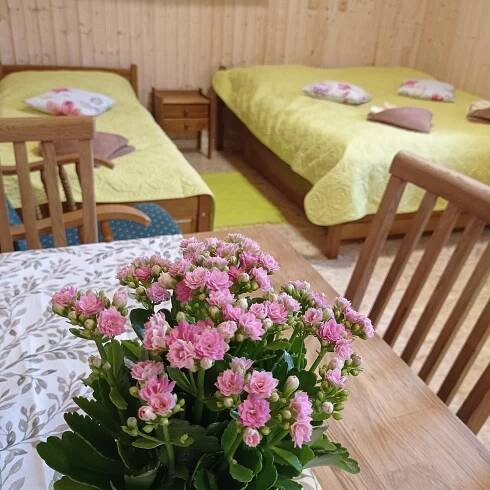 Ubytování :: vilvin.cz