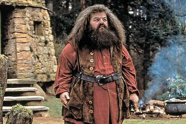How Tall Is Hagrid in the Harry Potter Movies?