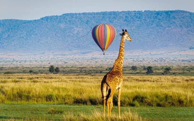 Samburu & Masai Mara Safari in Kenya