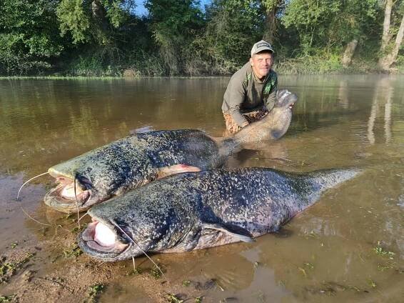 Náš tým | The Homeland Of Catfishing