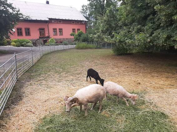 Výlet Jarošův statek – Základní škola, Ostrava-Poruba, Čkalovova 942, p. o.