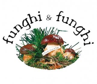 Funghi & Funghi | Vendita funghi porcini di Borgo Val di Taro