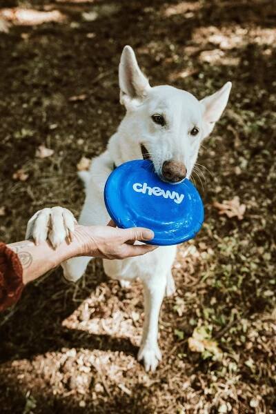 4912X7360 Ultimate Frisbee Wallpaper and Background