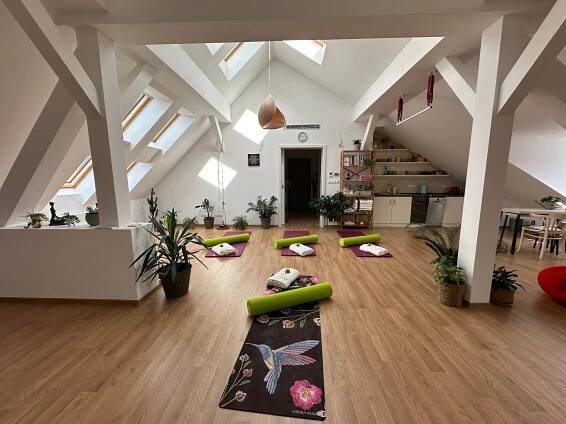 Jak to vypadá v Yogiano studio