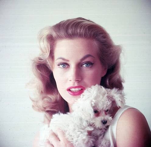 Beyond La Dolce Vita: Anita Ekberg’s Life and Career Before and After Her Most Famous Role