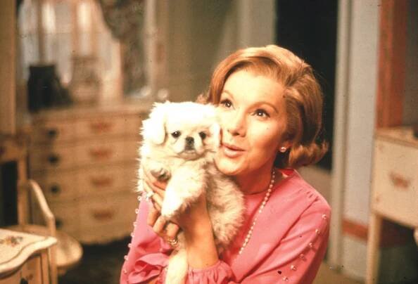 Susan Hampshire in the BBC's 1967 version of The Forsyte Saga.