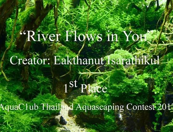 “River Flows in You” by Eakthanut Isarathikul