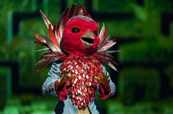 Who is Robin on The Masked Singer? All the clues so far