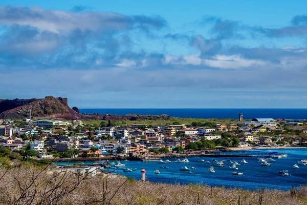 Elevated View of Coastal Town with Boats and Clear Blue Sky