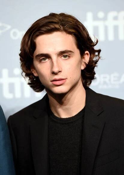 Timothée Chalamet at an event for Dej mi své jméno (2017)
