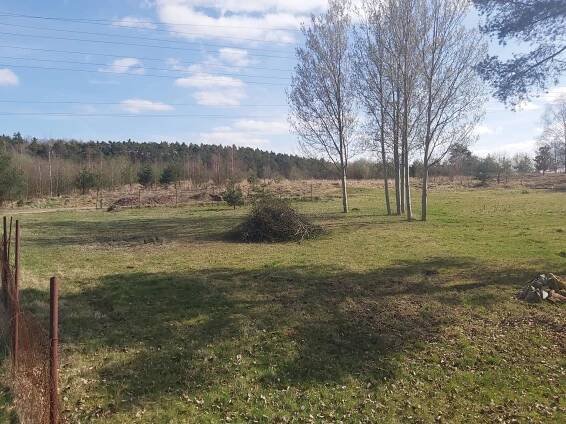 Stavební parcela v Tlučné u Plzně, obrázek č. 1