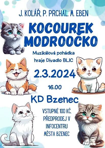 Kocourek Modroočko