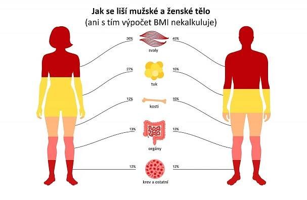 Body mass index upozorní na zdravotní rizika, ale je hodně zavádějící
