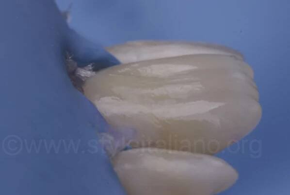 style italiano styleitaliano dentistry