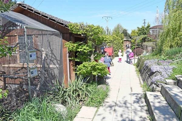 Minizoo ve Valašském Meziříčí navštíví ročně tisíce lidí. Vstup do ní je zdarma
