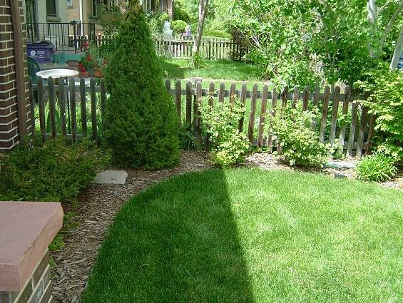 Other Yards – The Yard