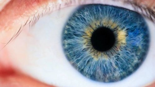 Dnes dokáží lidé vydělávat na všem. Třeba i na aktivaci třetího oka, které umožní vidět i bez očí - Seznam Médium