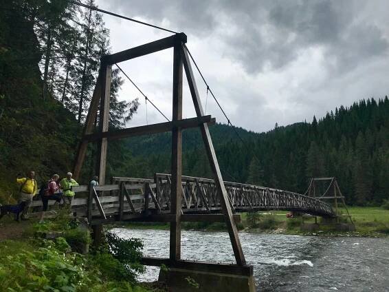 A Lush Hike Up Windy Ridge Trail : Clearwater Trekking