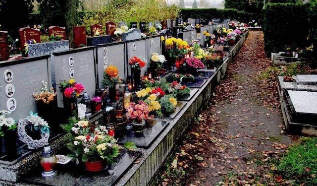 Ladislav Šnevajs nově povede olomoucké hřbitovy, skončil jako radní