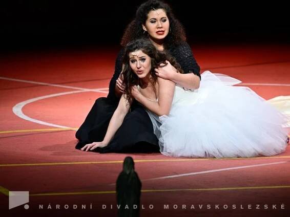 WEST SIDE STORY | Opereta / Muzikál | Národní divadlo moravskoslezské