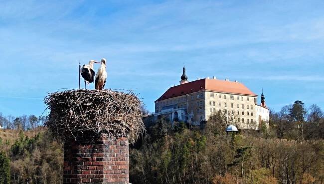 Drama jako z čapí telenovely v Třebíči. Boje, nová láska i milostný tanec