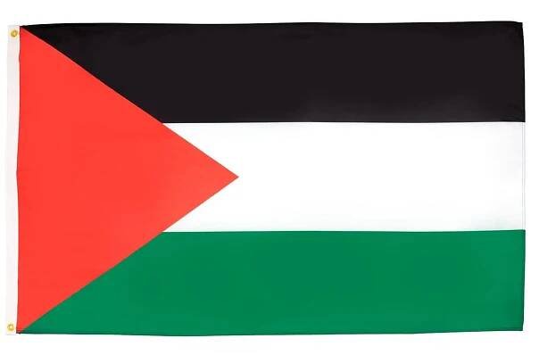 Vlajka Palestiny
