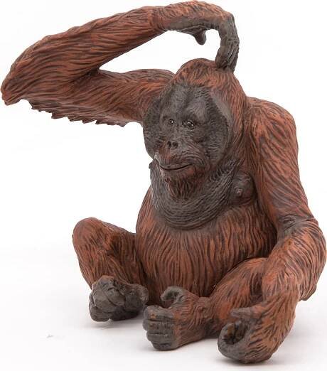 PAPO 50120 Orangutan