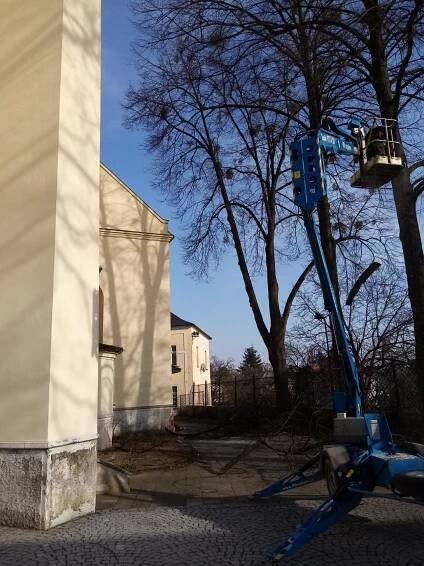 Výškové práce a ořez stromů u farního kostela v Hlučíně - Collegium musicum vocale