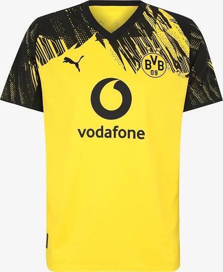 PUMA Trikot 'Borussia Dortmund 25/26'