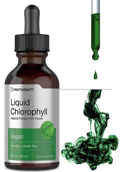 The 5 Best Chlorophyll Drops To Boost Your Health Today!