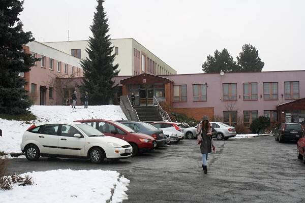 Opravy školy zkomplikuje i rorýs