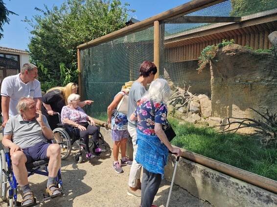 Exkurze do ZOOparku Vyškov | Alzheimer Home