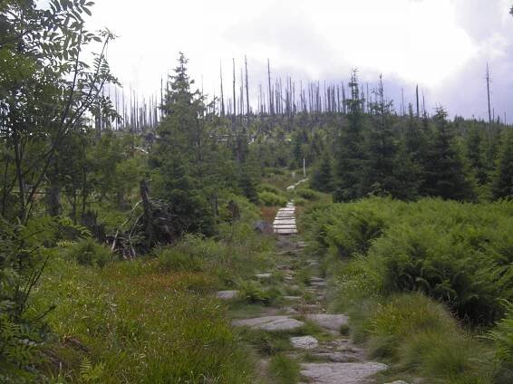 Šumava, Třístoličník - trojmezí - Caravan24.cz