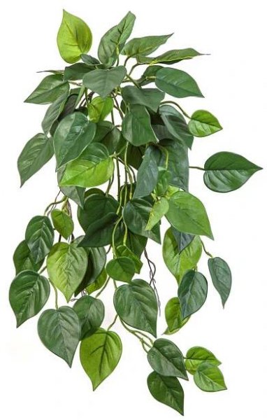 Umělá rostlina Philodendron Scandens Hanger KADRINA, tyčková, nehořlavá, 70cm
