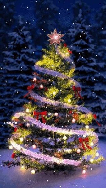 a brightly lit christmas tree in the snow