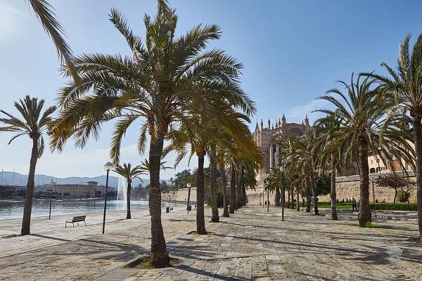 Palma De Mallorca 218