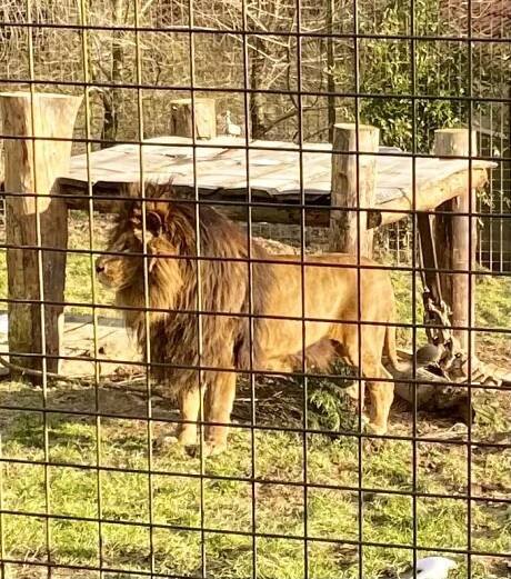 #268: Zoo Dvorec (Borovany) | Mazané výlety